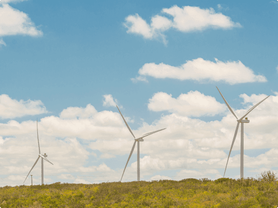 Casa dos Ventos has completed a private debt raise in the United States, totaling US$1.1 billion, equivalent to approximately R$5.6 billion. It is the largest operation of its kind carried out by a Brazilian company in the American market.