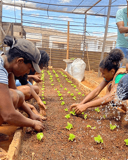 Community Gardens